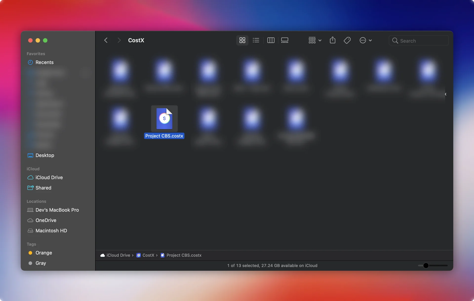 CostX document files
