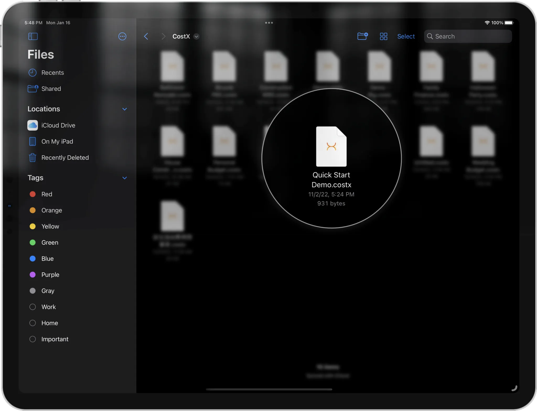 CostX document files