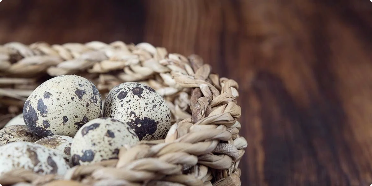 Leg niet al uw eieren in één mandje